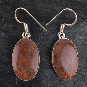 New Jasper Stone Hook Dangle Silver Earrings